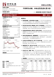 中报点评：中报增长放缓，积极发展危废处置业务