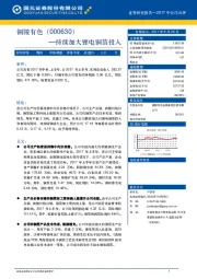 持续加大锂电铜箔投入