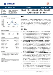 半年报点评：中报业绩下滑，重点关注转型电子化学品发展方向