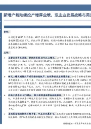 新增产能陆续投产增厚业绩,双主业发展战略布局加速