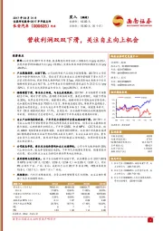 营收利润双双下滑，关注自主向上机会