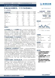 风场拉动业绩增长，叶片开始贡献收入