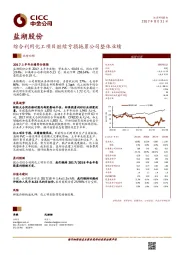 综合利用化工项目继续亏损拖累公司整体业绩