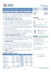 量价齐升营收大增，协同效应带来成本优势