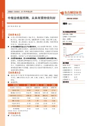 2017年中报点评：中报业绩超预期，未来有望持续向好