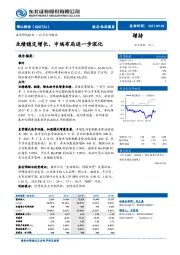 业绩稳定增长，中端布局进一步深化