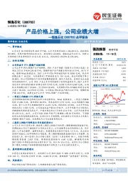 点评报告：产品价格上涨，公司业绩大增