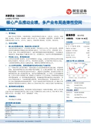 核心产品推动业绩，多产业布局造弹性空间