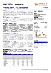 半年报点评：中报业绩高增长，双主业驱动显优势