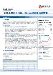 业绩基本符合预期,核心品种有望迅速放量