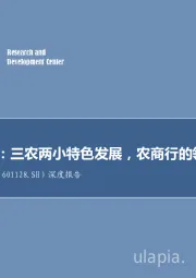 深度报告：三农两小特色发展，农商行的领跑者