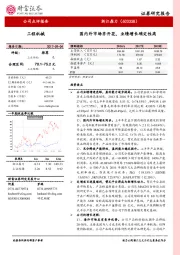 国内外市场齐开花,业绩增长确定性高