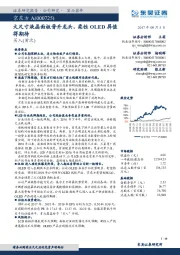 大尺寸液晶面板晋升龙头,柔性OLED屏值得期待