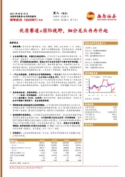 优质赛道+国际视野，细分龙头冉冉升起