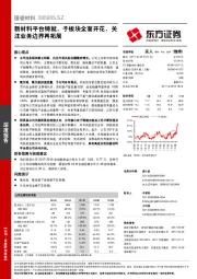 新材料平台铸就，子板块全面开花，关注业务边界再拓展