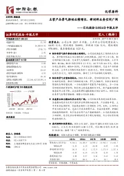 中报点评：主营产品景气推动业绩增长、新材料业务空间广阔