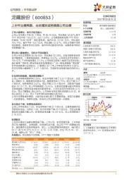 上半年业绩亮眼，未来增发或将提振公司业绩