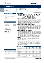 国内偏光片行业龙头，未来三年看得见的高成长