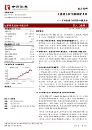 中报点评：业绩增长较预期稍有差距