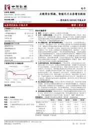 中报点评：业绩符合预期，智能芯片业务增长较快