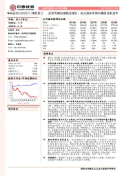 应急先锋业绩稳定增长，关注海外布局与集团资本运作