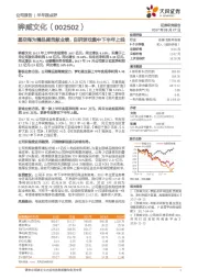 星空海为精品剧贡献业绩,自研游戏集中下半年上线