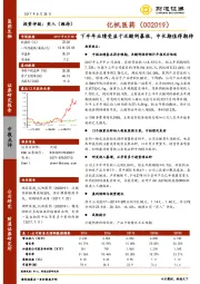 下半年业绩受益于泛酸钙暴涨,中长期值得期待