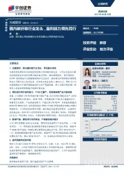 国内碳纤维行业龙头，盈利能力领先同行