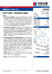 多样化产品布局，募投项目解决产能瓶颈