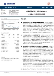 深度报告：新能源车联网平台龙头脱颖而出