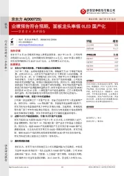 京东方A点评报告：业绩预告符合预期，面板龙头率领OLED国产化