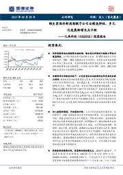 深度报告：维生素涨价新周期赋予公司业绩高弹性，多元化发展新增长点不断