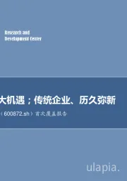 首次覆盖报告：小行业、大机遇；传统企业、历久弥新