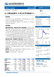 Q3业绩高速增长，大单充足布局数据中心