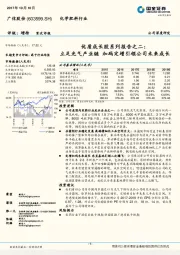 优质成长股系列报告之二：立足光气产业链 加码定增引领公司未来成长