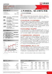 大单持续落地，Q3业绩符合预期