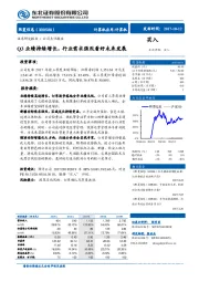 Q3业绩持续增长，行业需求强烈看好未来发展