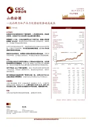 一流品牌力和产品力优势继续推动高成长