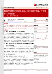 中泰化学深度报告：氯碱和粘胶短纤双龙头企业，依托低成本能源，产业链一体化优势显著
