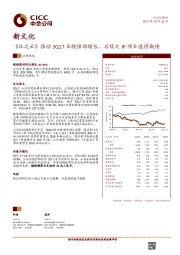 《汉之云》推动3Q17业绩强劲增长，后续大IP项目值得期待