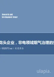 深度报告:超低排放龙头企业,非电领域烟气治理的先行者