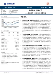 深度研究：扎实耕耘，落地有声