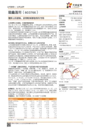 增资山东丽驰，进军新能源物流车市场