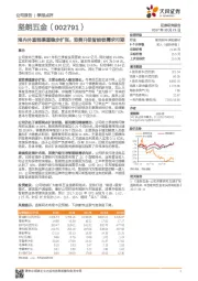 海内外直销渠道稳步扩张，消费升级智能锁需求可期