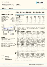 规模扩大引领业绩高增长，专注布局多式联运