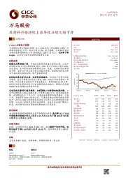 原材料价格持续上涨导致业绩大幅下滑