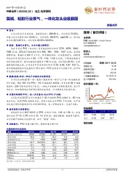 氯碱、粘胶行业景气，一体化龙头业绩靓丽