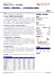 环氧丙烷、烧碱价格向上，公司业绩受益大幅增长