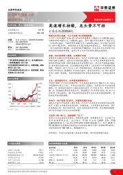 高速增长持续，龙头势不可挡