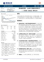 事件点评：营收稳定增长，毛利率下降影响利润水平